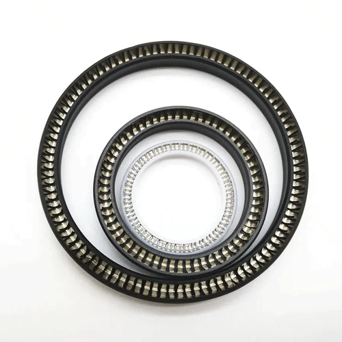 spring-loaded-rotary-shaft-seal-2 spring-loaded-rotary-shaft-seal-2