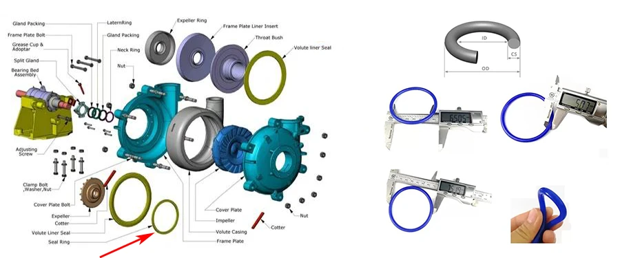 Effluent-Pump-Seal-Rings Effluent-Pump-Seal-Rings